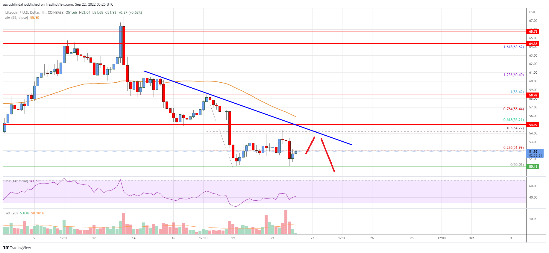 Litecoin (LTC) Price Analysis: Bulls Struggle To Protect $50