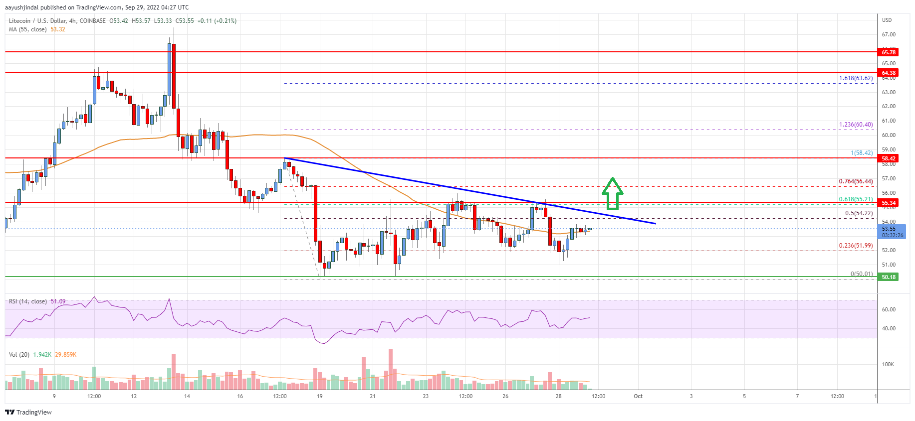 Litecoin (LTC) Price Analysis: Bulls Face Hurdles Near $55