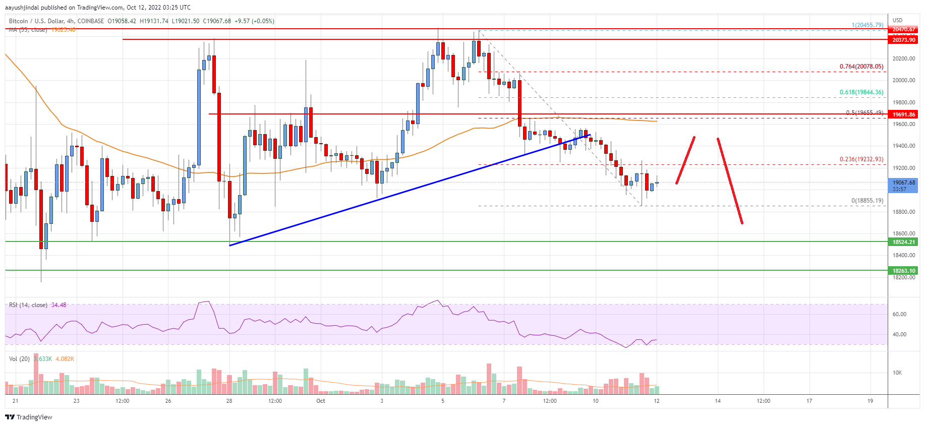 Bitcoin Price Analysis: BTC Could Drop Again To This Key Support