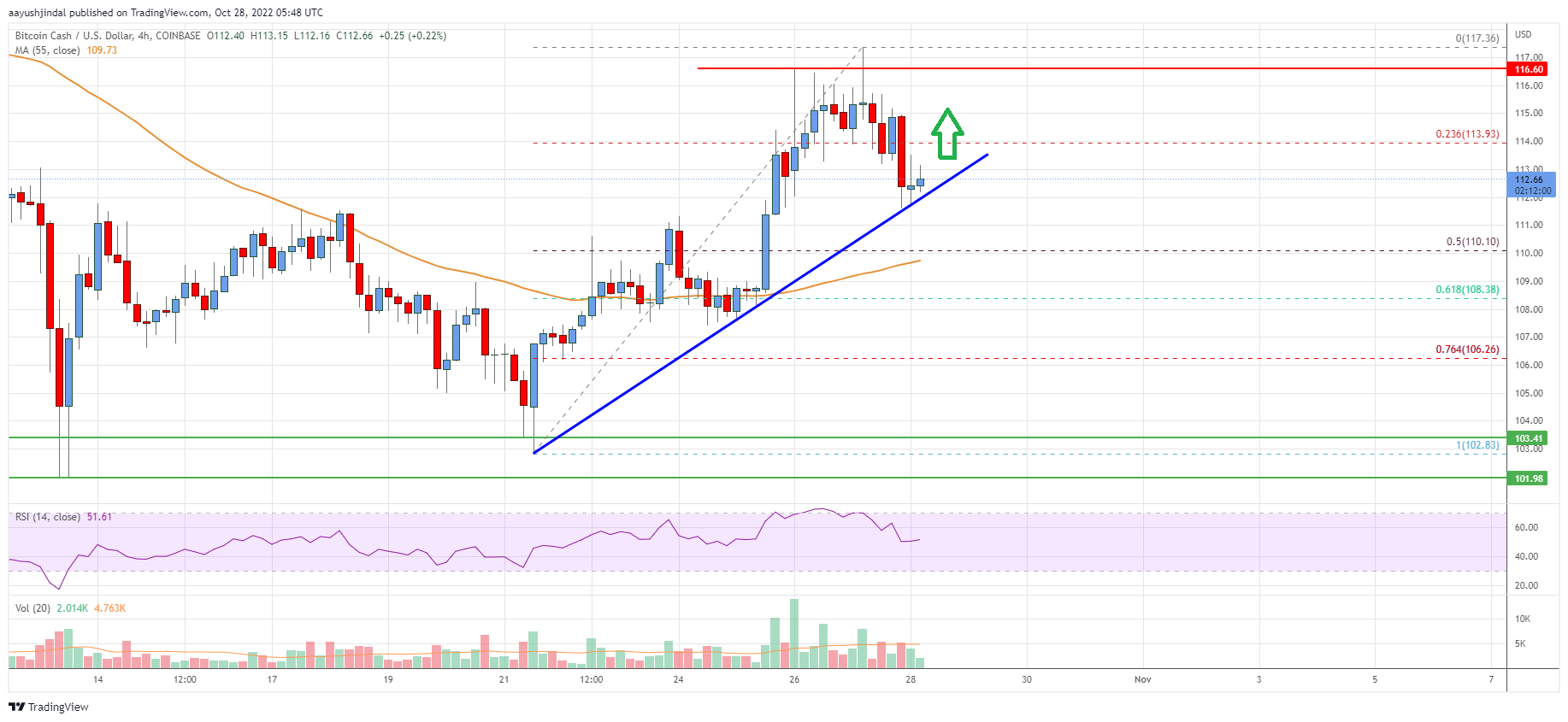 Bitcoin Cash Analysis: Can Bulls Clear This Key Hurdle?