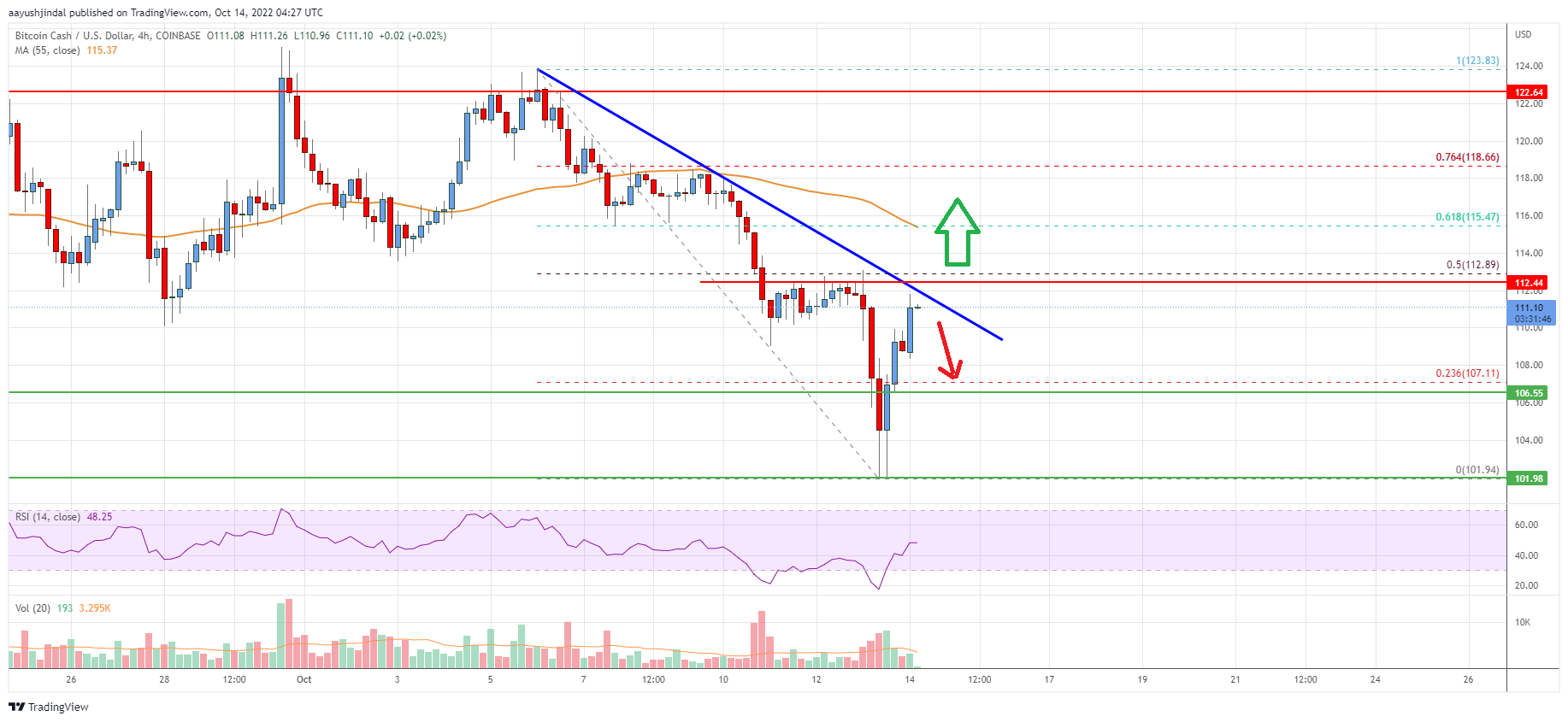 Bitcoin Cash Analysis: Can Bulls Clear This Key Hurdle?
