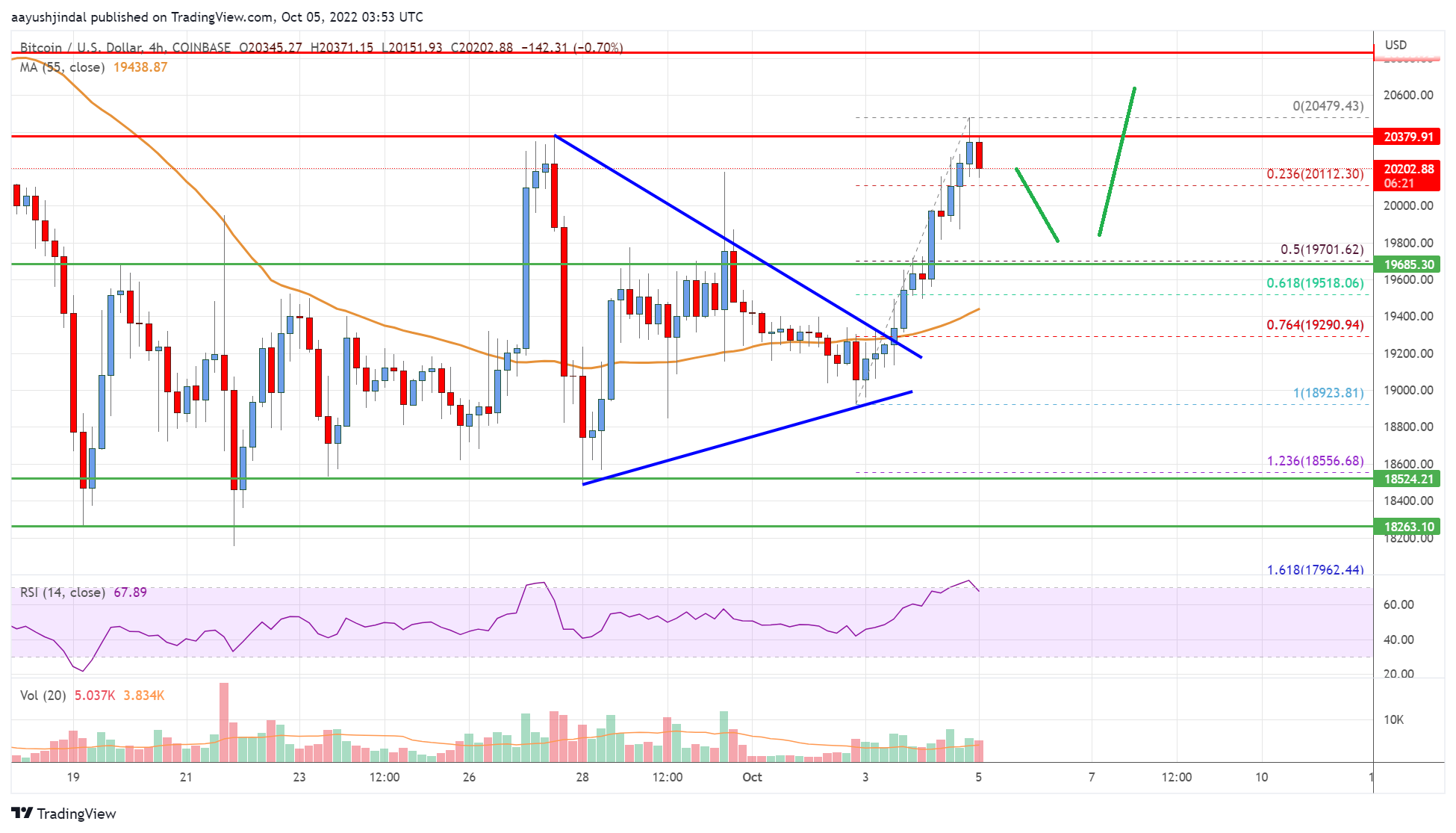 Bitcoin Price Analysis: BTC Aims A Run To $22K