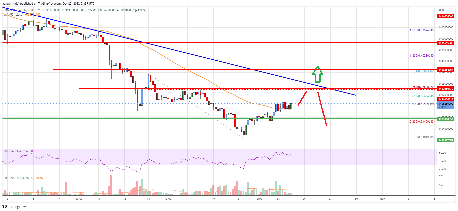 Cardano (ADA) Price Analysis: Fresh Rally If It Clears $0.38