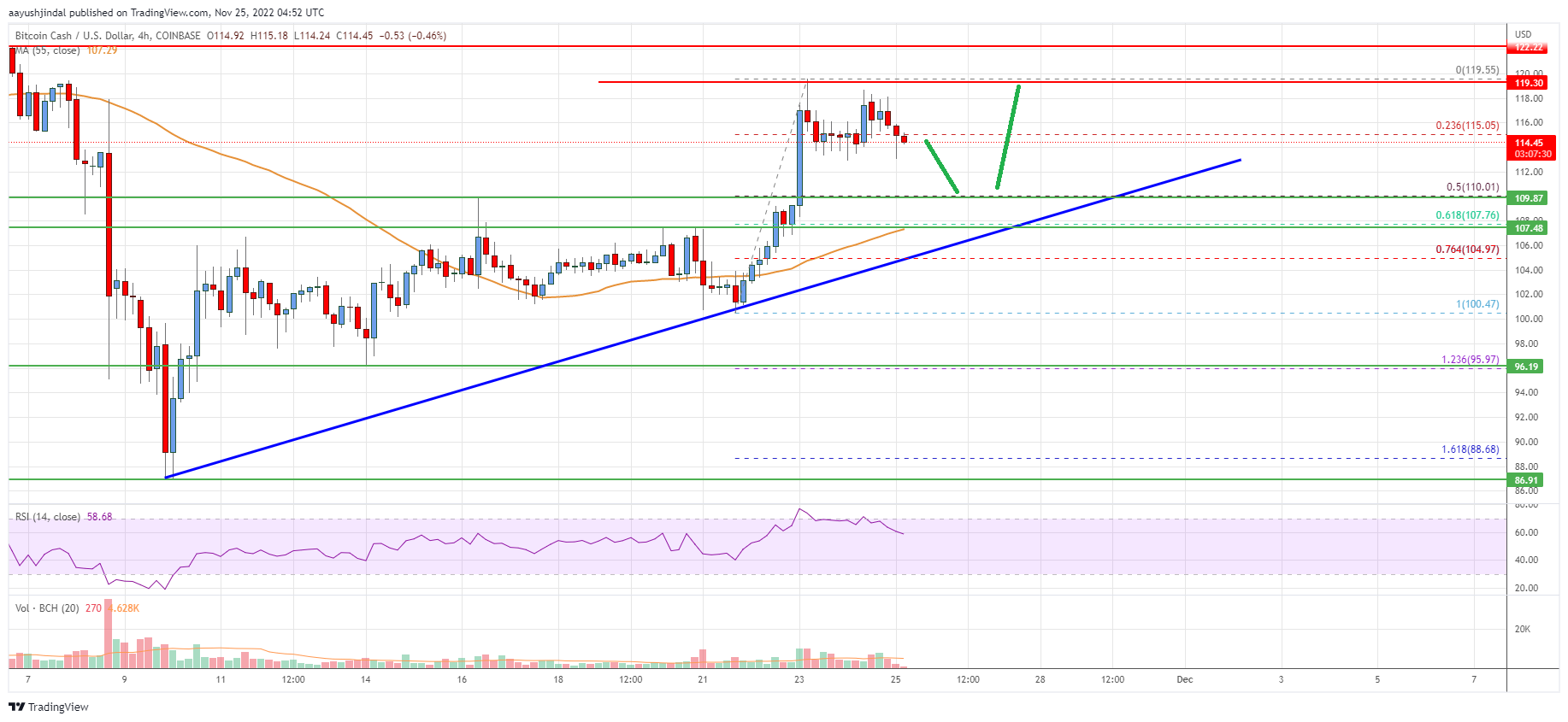 Bitcoin Cash Analysis: Dips Could Be Attractive Near $110