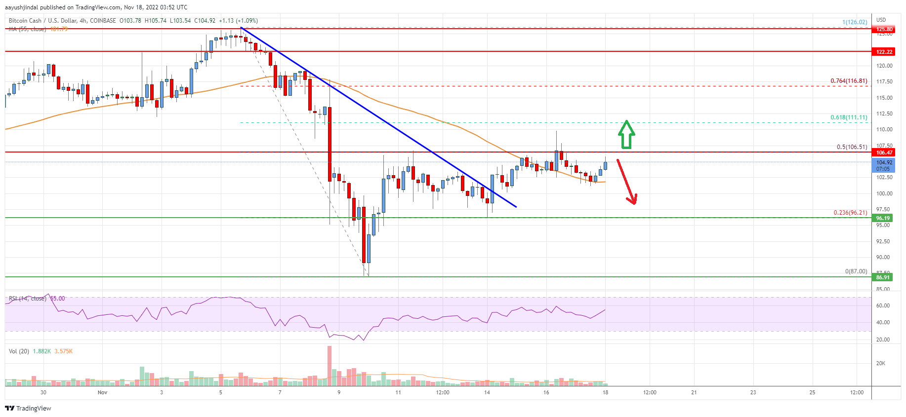Bitcoin Cash Analysis: Bulls Aim Upside Break Above $110