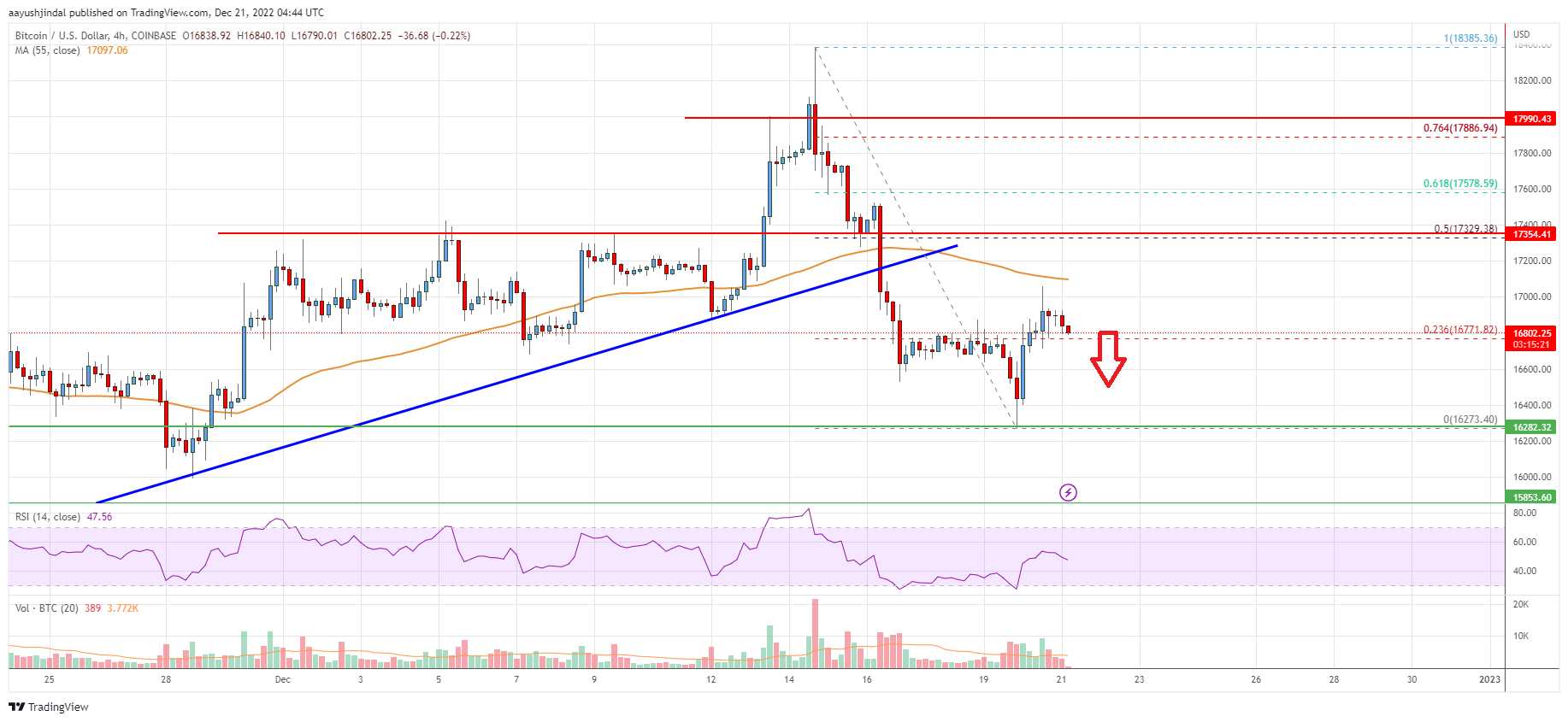 Bitcoin Price Analysis: BTC At Risk of Another Crash