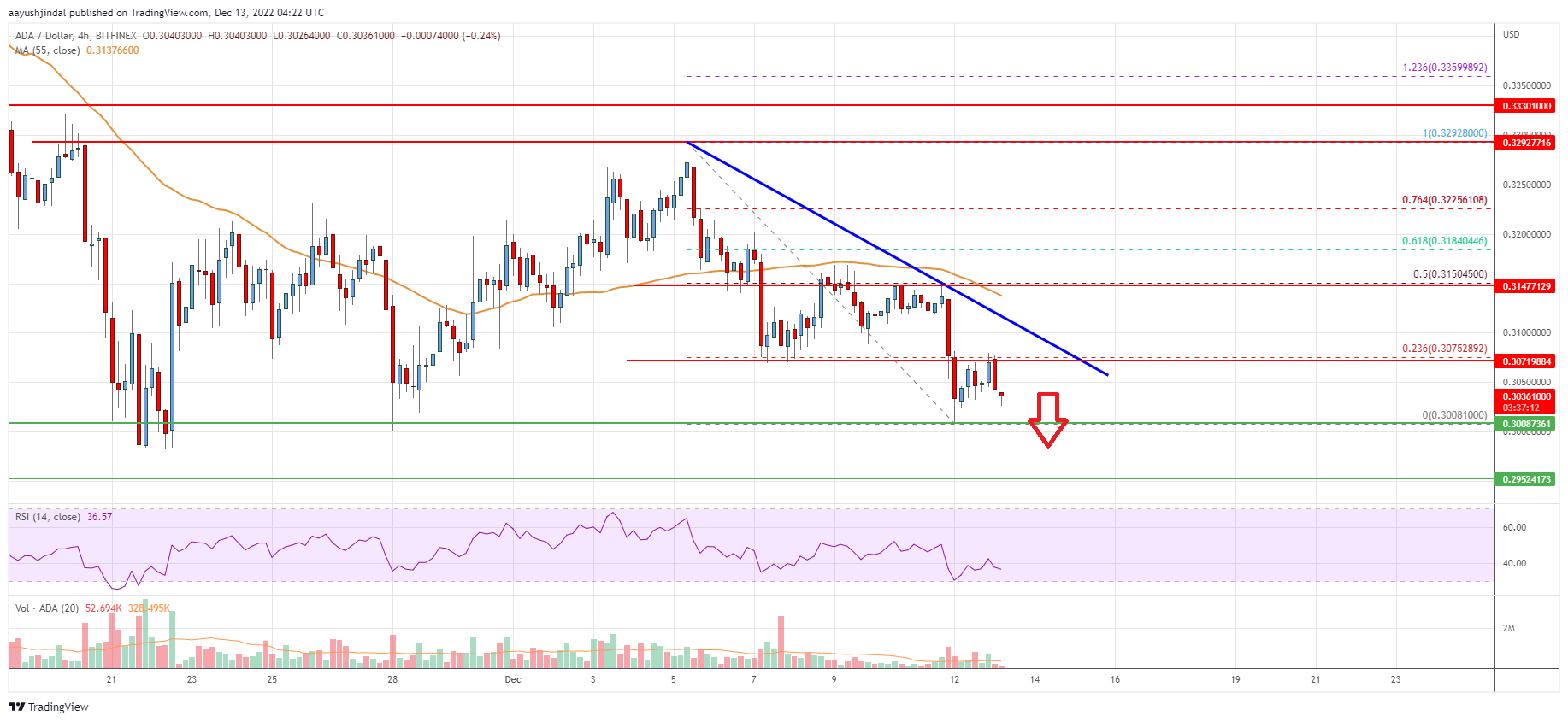 Cardano (ADA) Price Analysis: Risk of More Losses Below $0.30