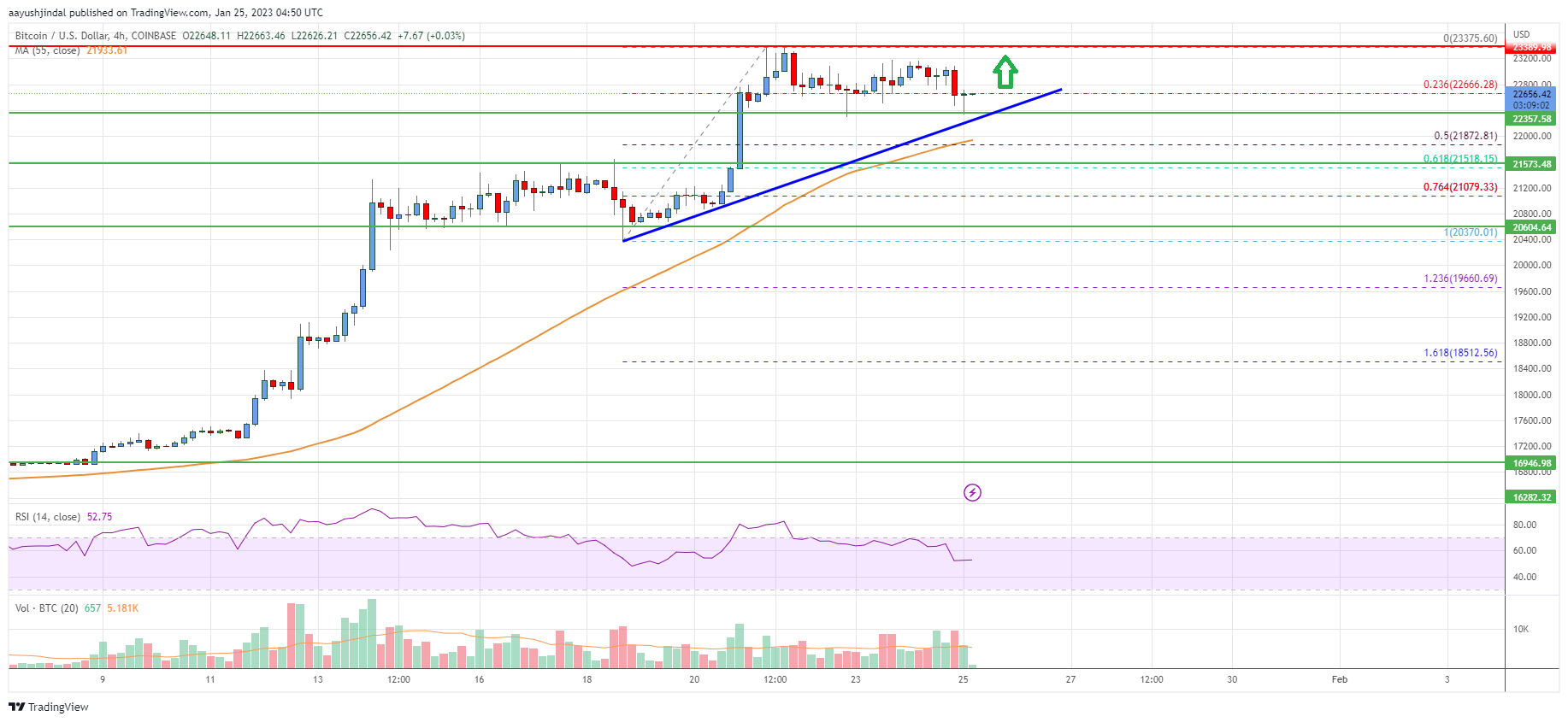 Bitcoin Price Analysis: BTC Aims More Gains above $23K
