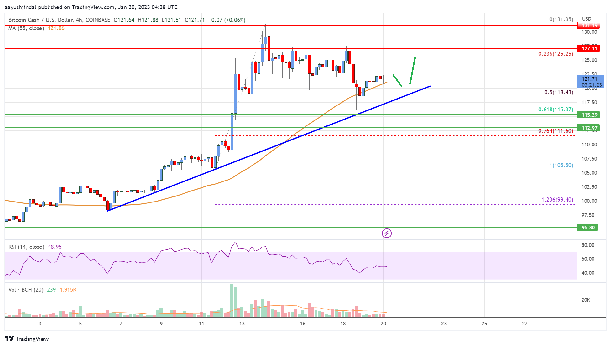 Bitcoin Cash Analysis: Dips Remain Attractive Near $115