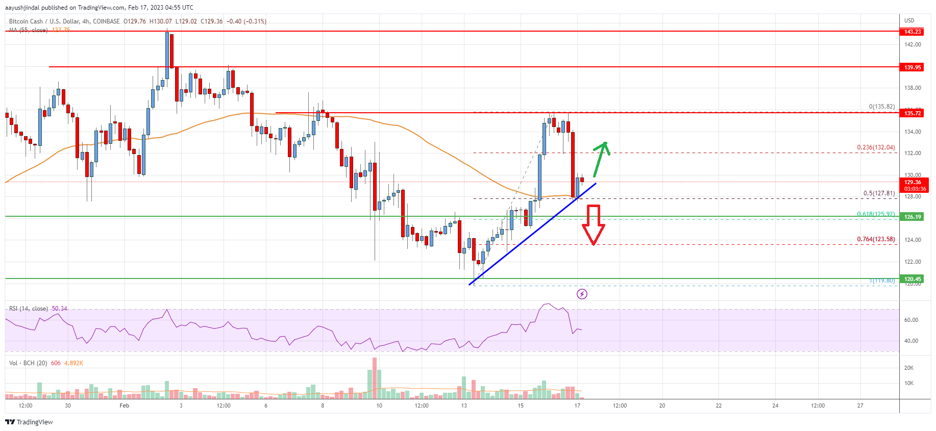 Bitcoin Cash Price