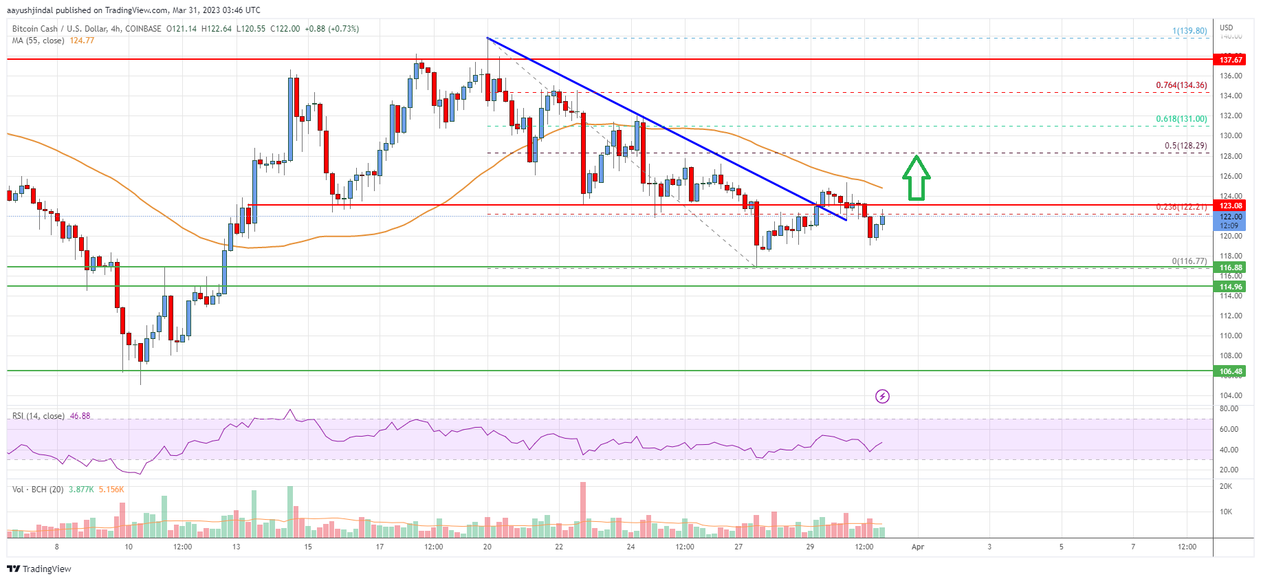Bitcoin Cash Analysis: Bulls Remain Active Near $115