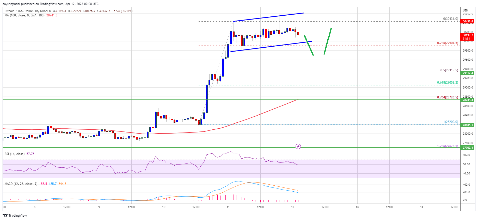 Bitcoin Price Analysis: BTC Rally Loses Steam Above $30K