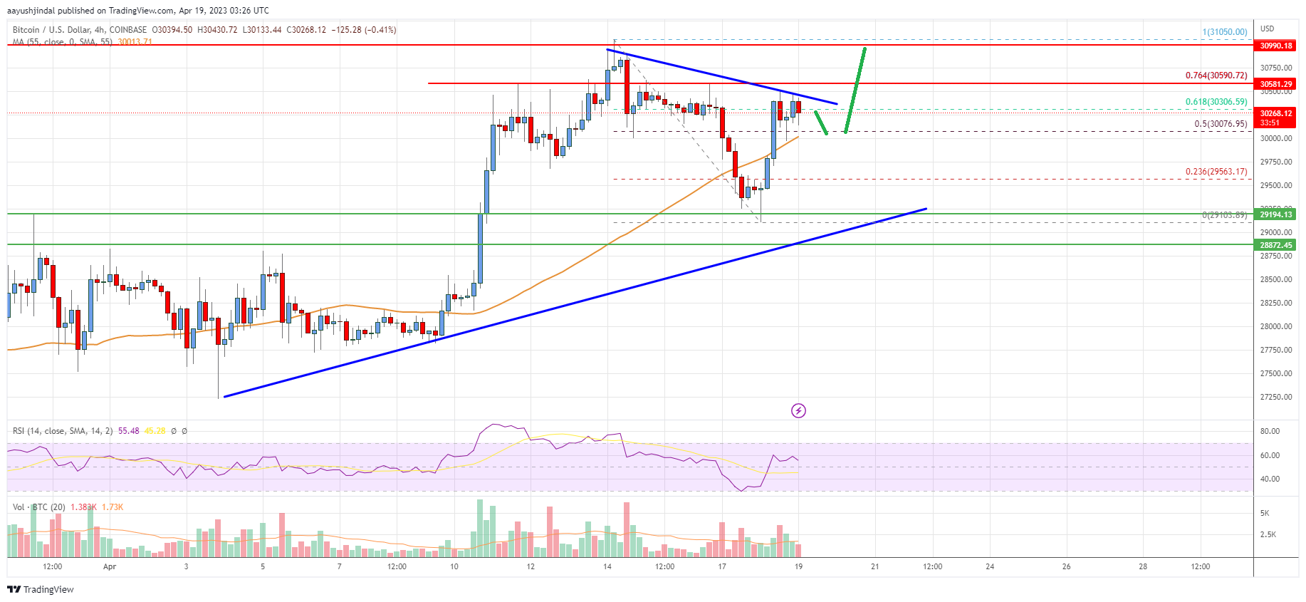 Bitcoin Price Analysis: BTC Eyes More Gains Above $31K