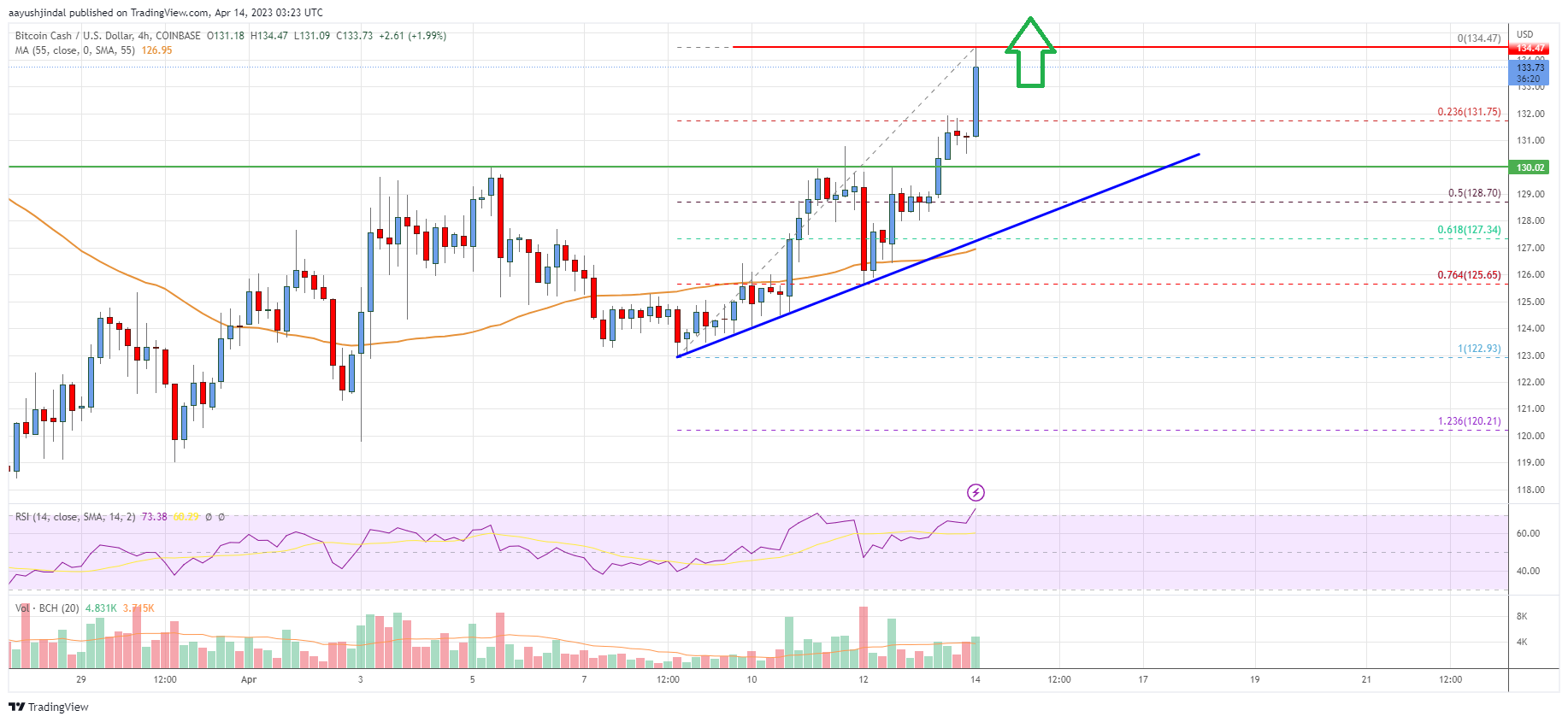 Bitcoin Cash Analysis: Bulls Aim Higher, $150 Possible Target
