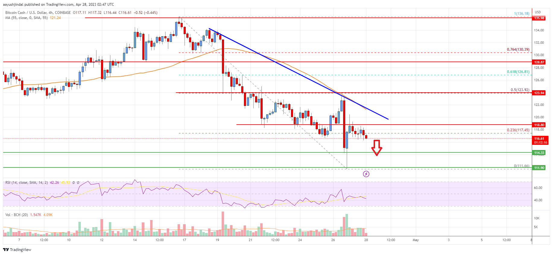 Bitcoin Cash Analysis: Risk of Fresh Drop To $100