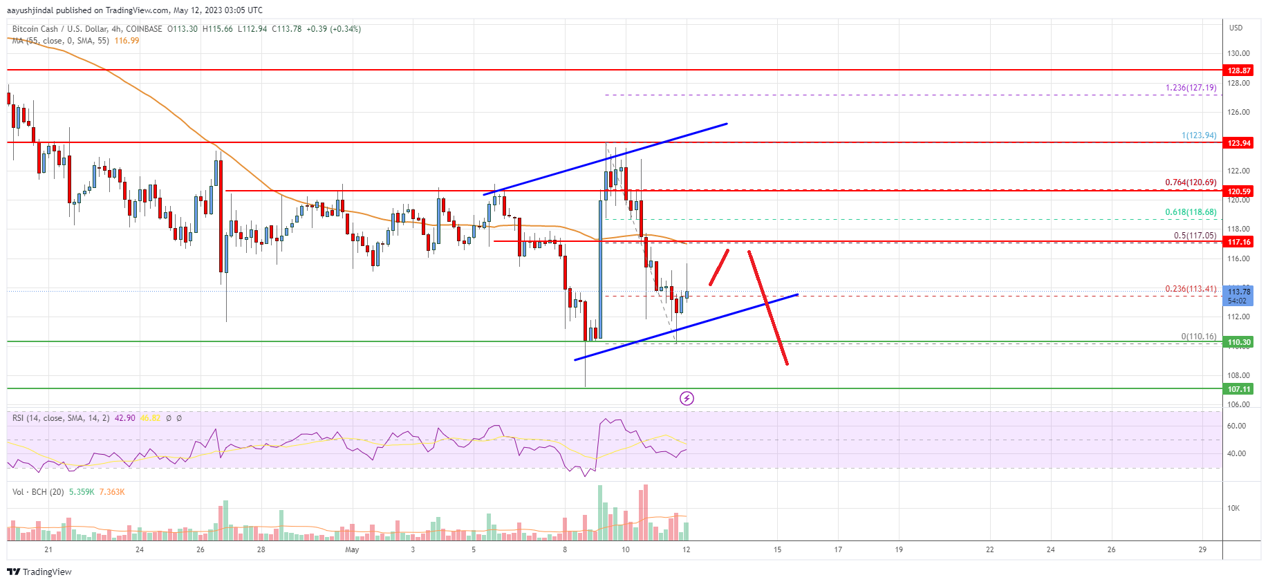 Bitcoin Cash Analysis: Bears Aim Fresh Drop To $100