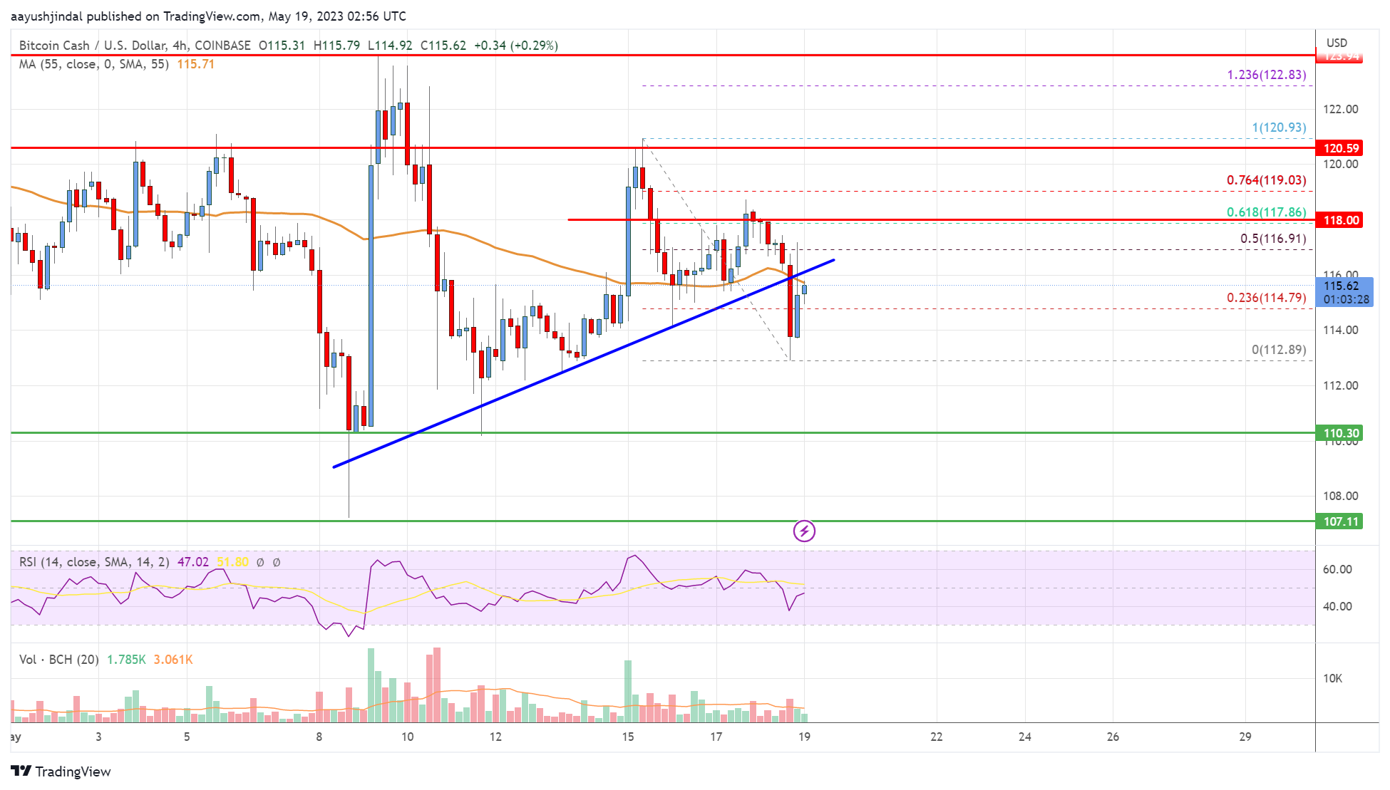 Bitcoin Cash Analysis: Risk of Fresh Drop to $105