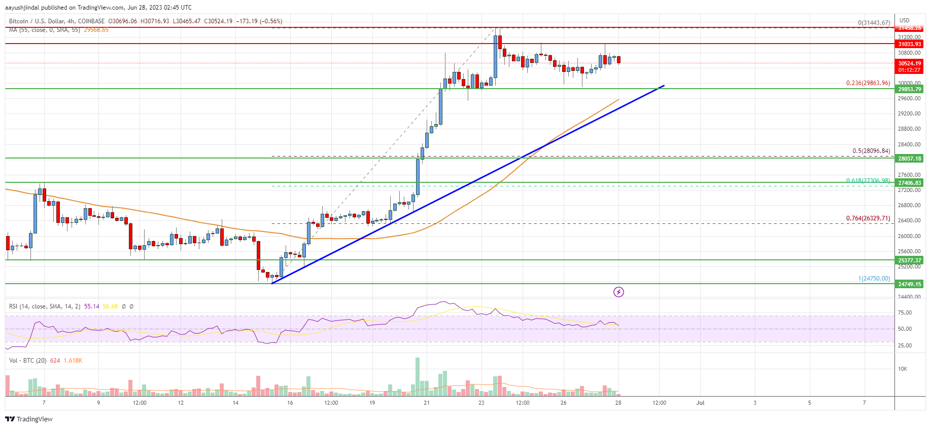 Bitcoin Price Analysis: BTC Bulls In Control Above $29,500