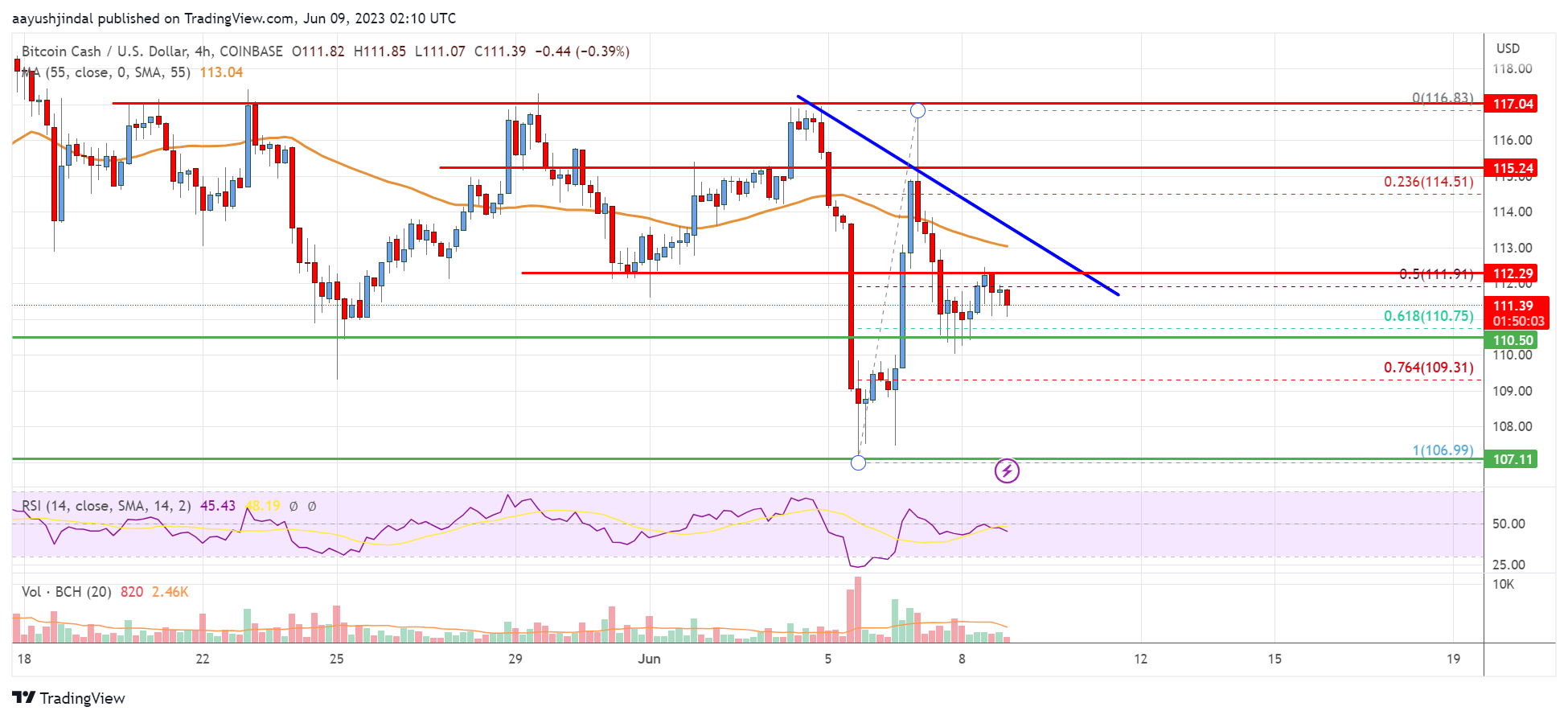 Bitcoin Cash Analysis: Bulls Struggle Below $120