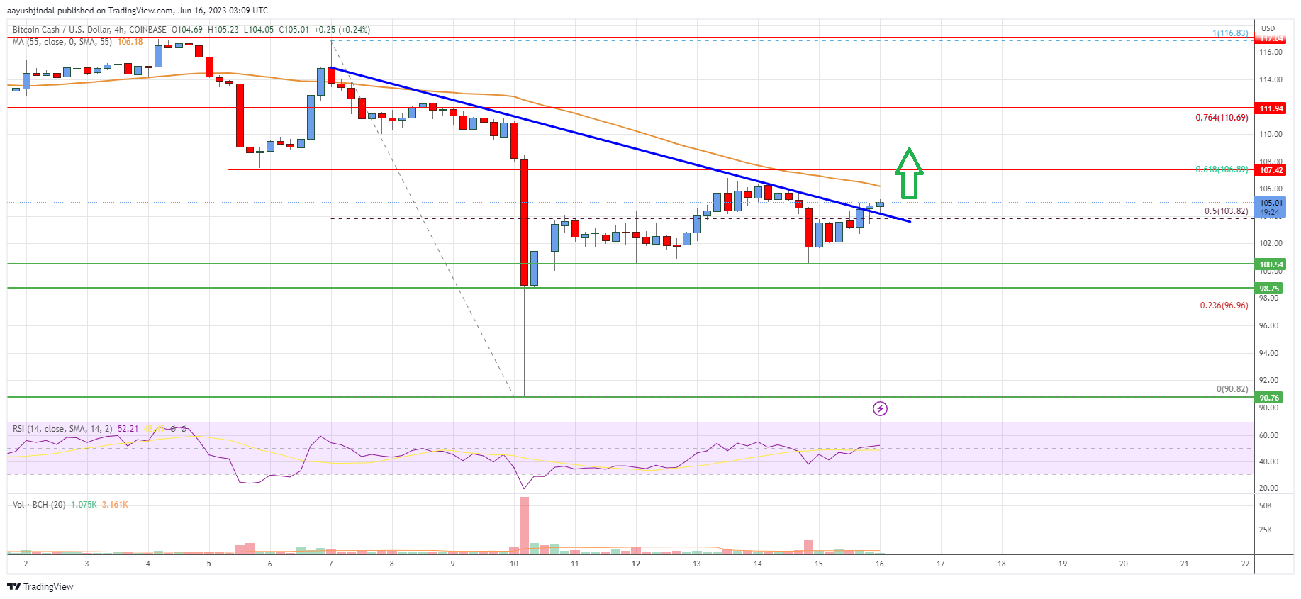 Bitcoin Cash Analysis: Bulls Eye Recovery To $115