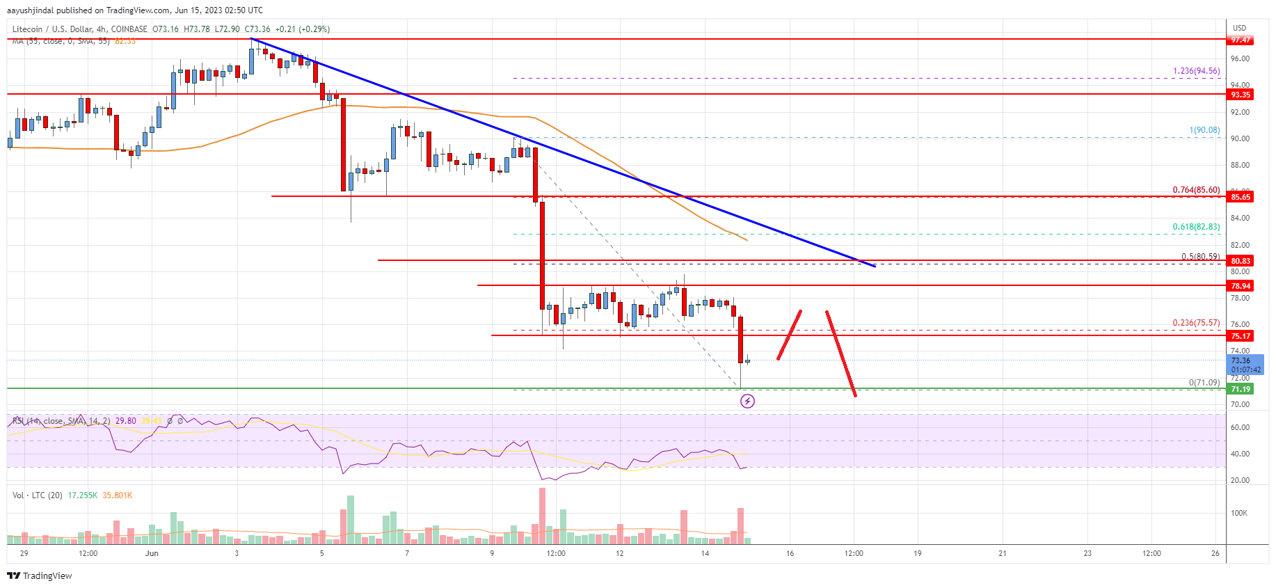 Litecoin (LTC) Price Analysis: Risk of More Losses Below $70