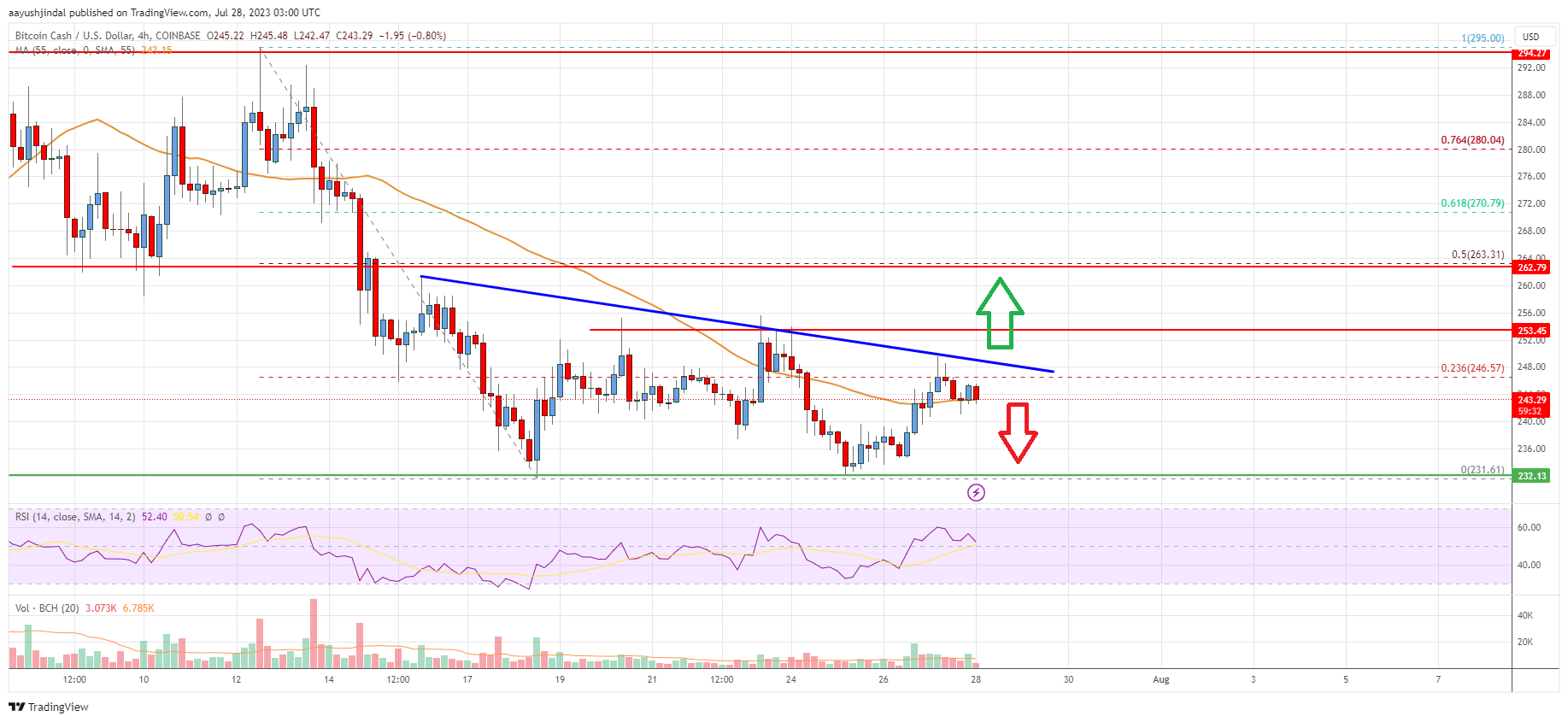 Bitcoin Cash Analysis: Risk of Downside Thrust Below $230