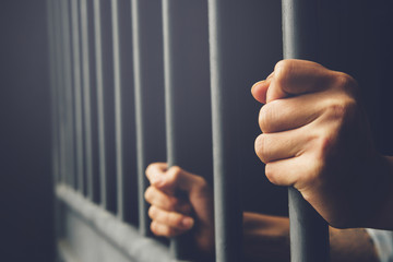 Eddy Alexandre Gets Nine Years for Crypto Fraud
