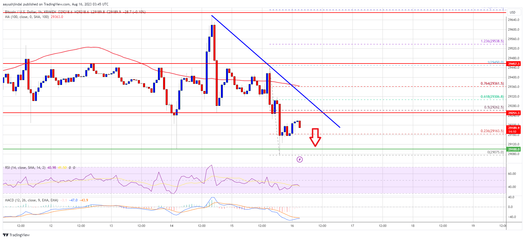 Bitcoin Price Analysis: BTC At Risk Below $30K