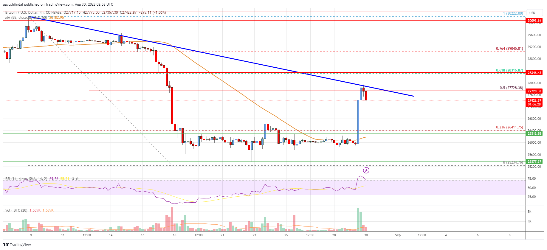 Bitcoin Price Analysis: BTC Recovery Faces Key Resistance