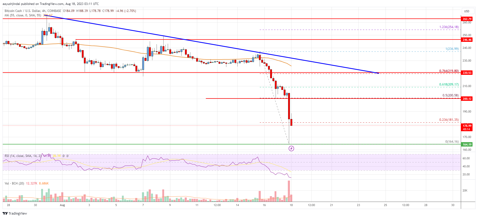 Bitcoin Cash Analysis: Nosedives, Bears Aim $150