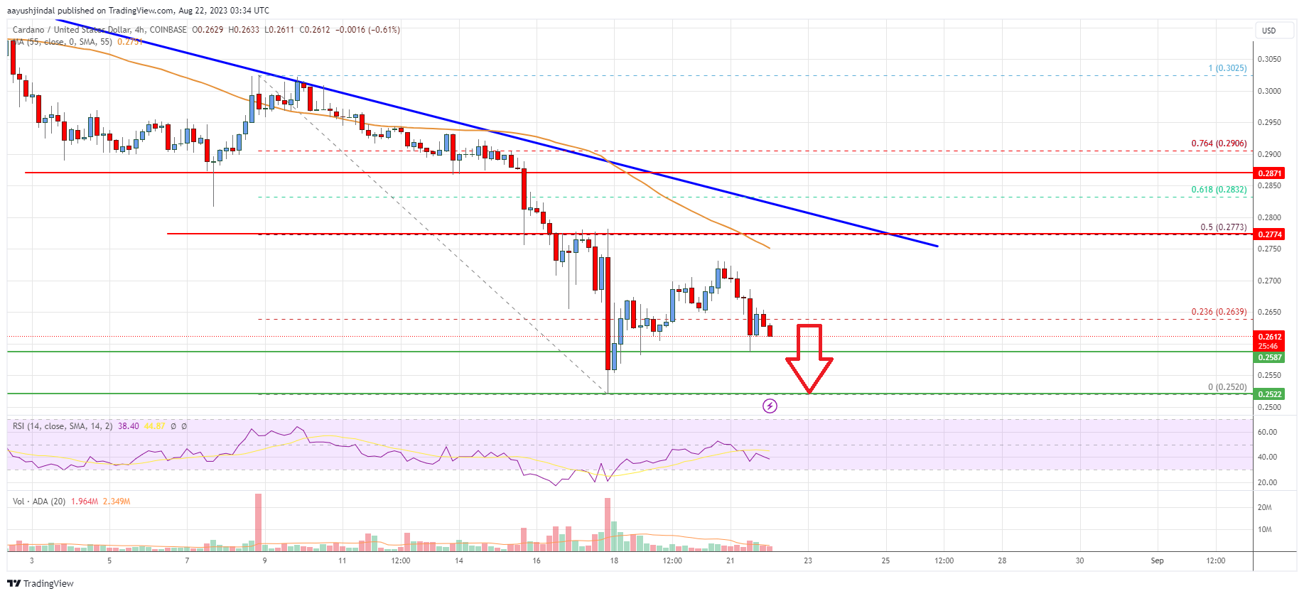 Cardano (ADA) Price Analysis: Risk of More Downsides Below $0.25