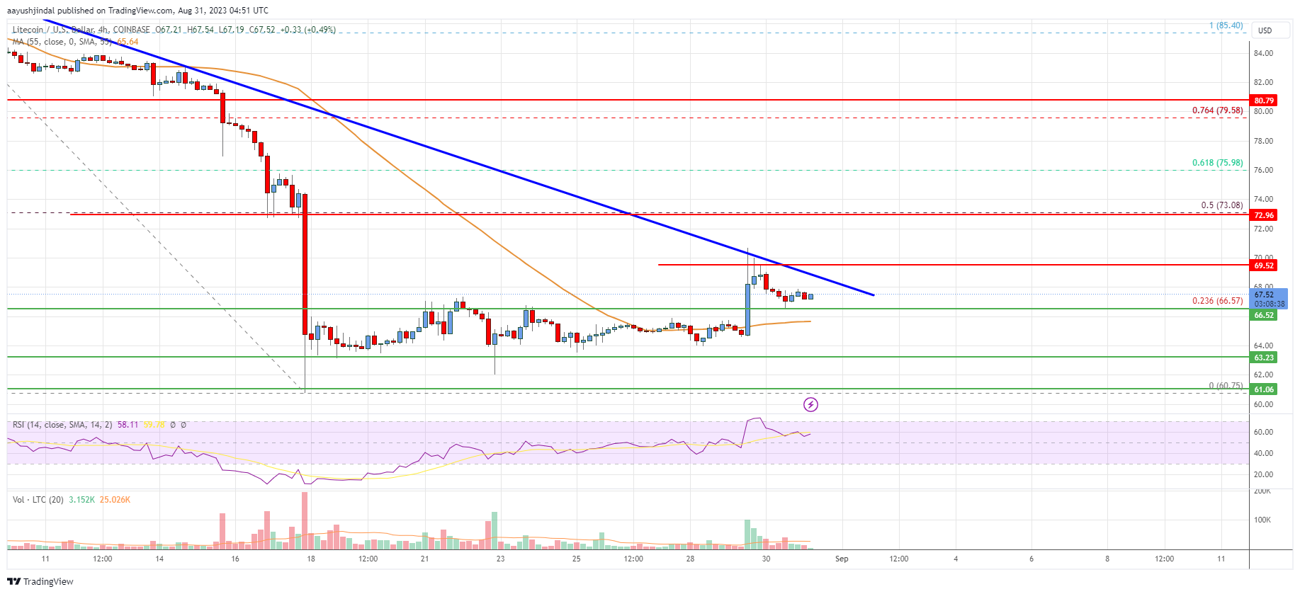 Litecoin (LTC) Price Analysis: Fresh Increase Possible Above This Hurdle