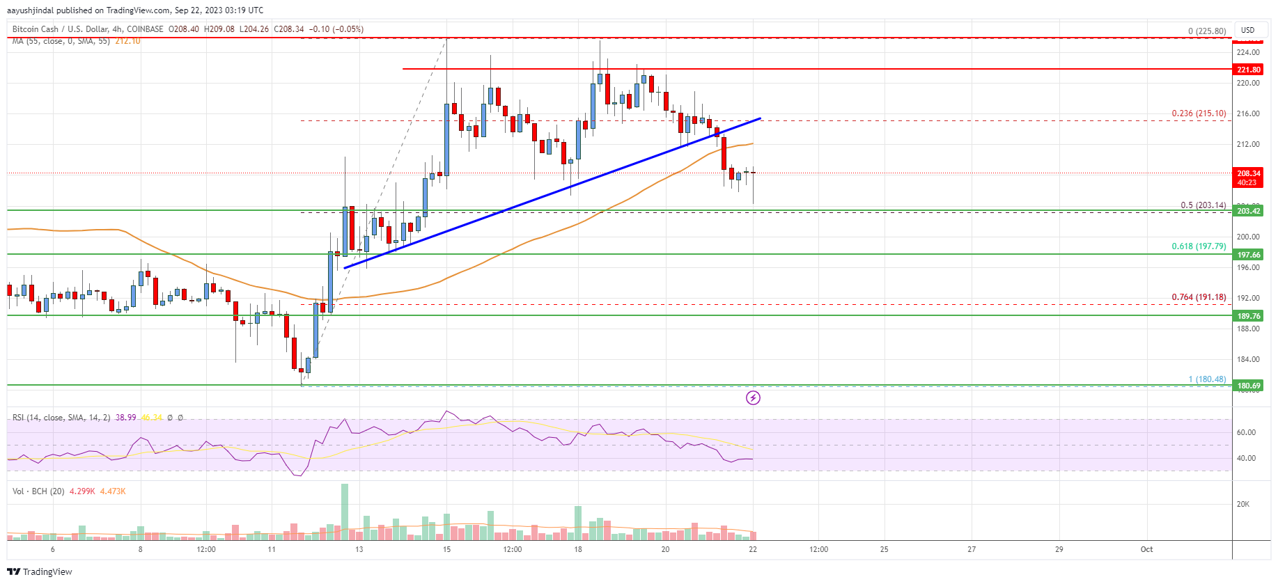 Bitcoin Cash Analysis: Bulls Face Key Resistance Near $225
