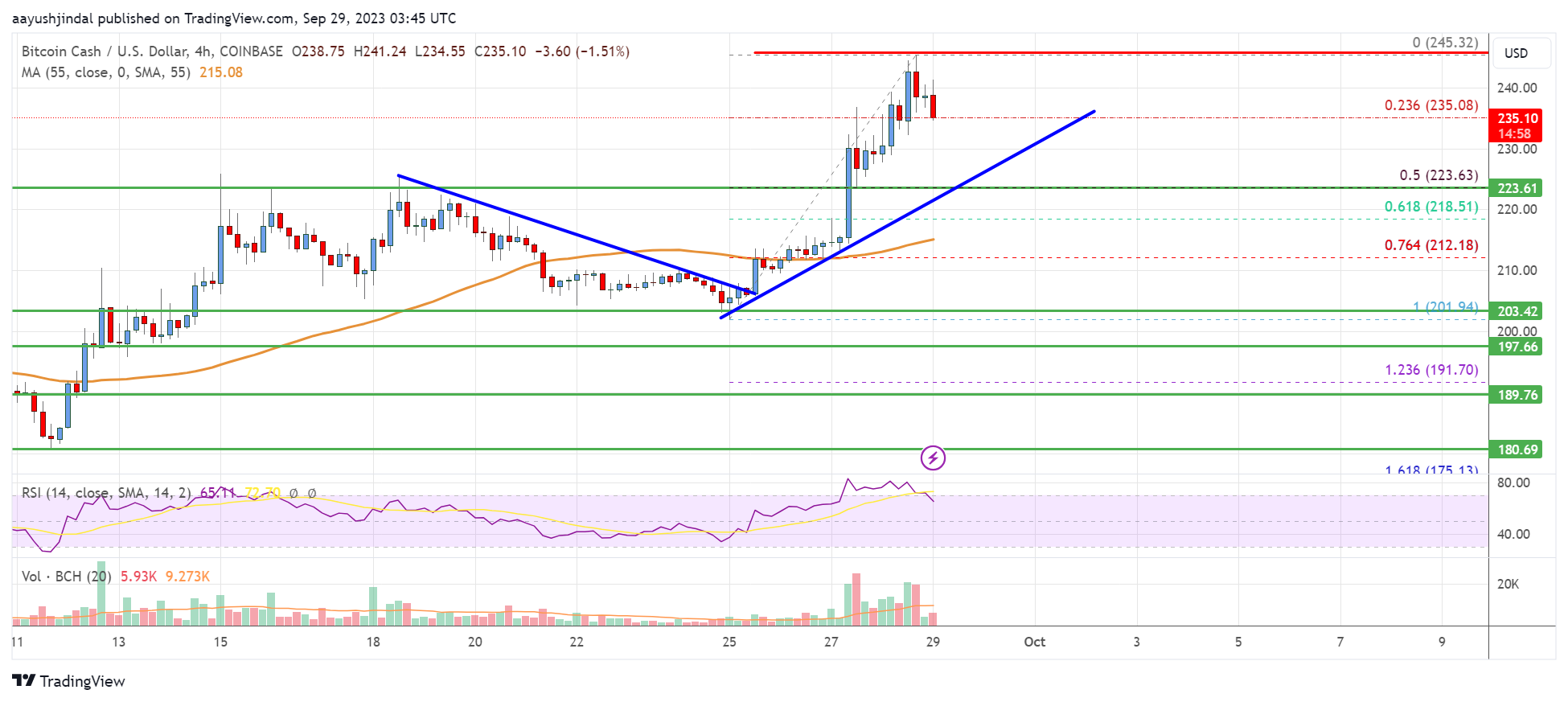 Bitcoin Cash Analysis: Bulls Aim $250 or Higher