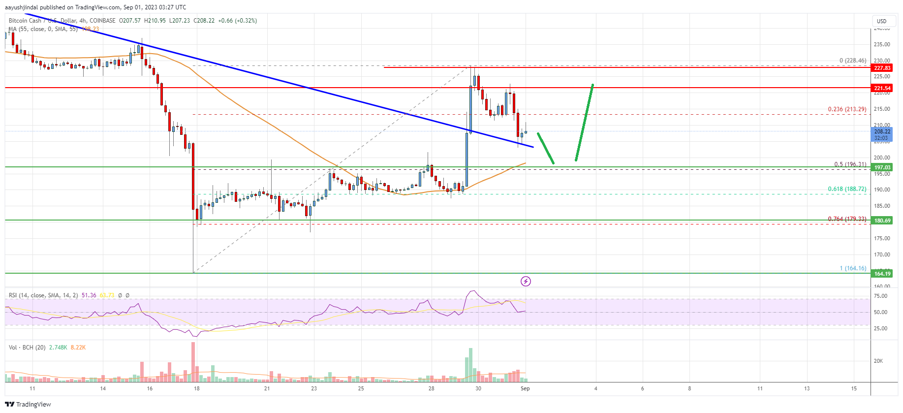 Bitcoin Cash Analysis: Bulls Struggle Near $230