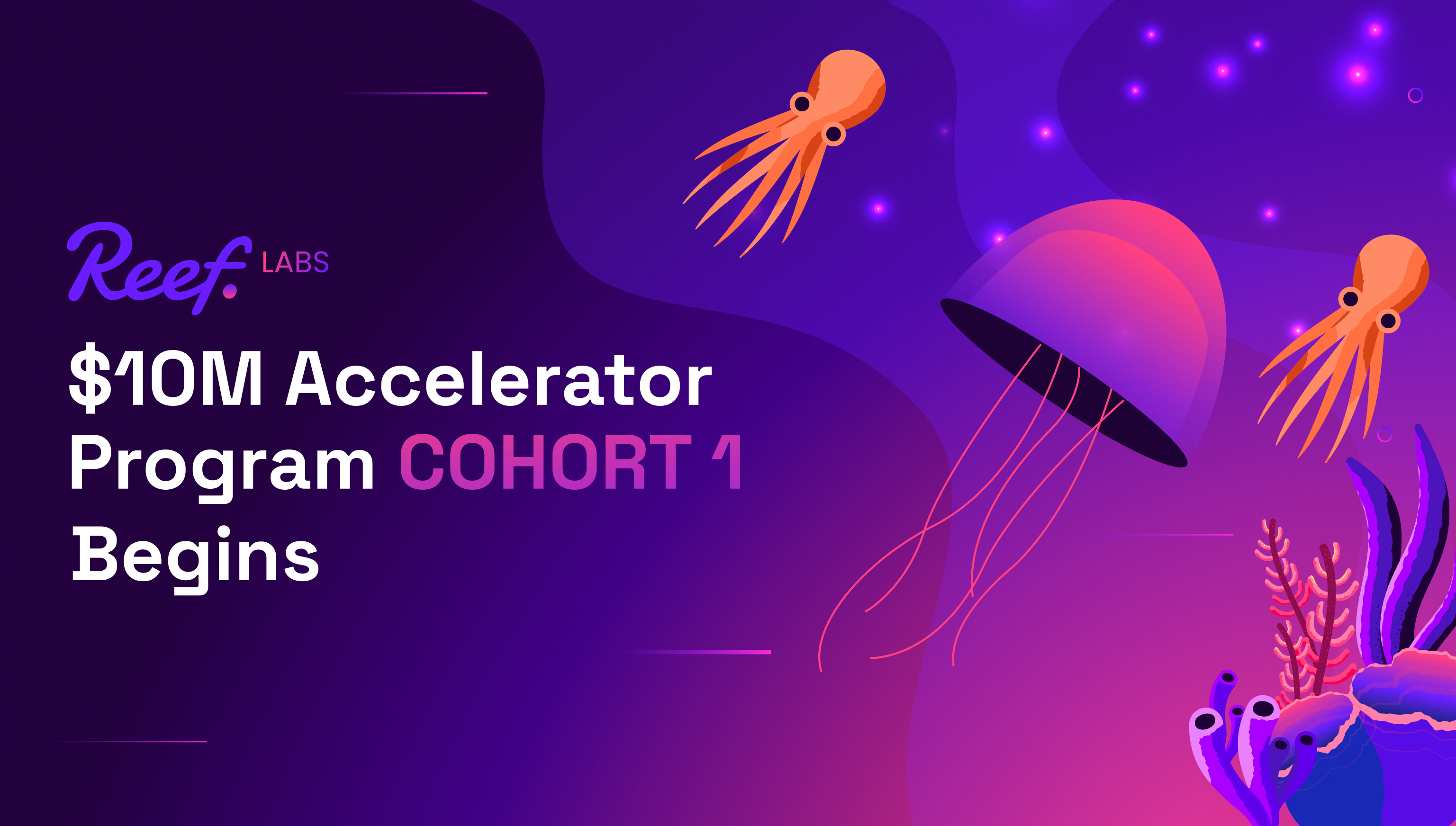 Reef Labs $10M Accelerator Program COHORT 1 Begins, Paving the Way for Web3 Innovators