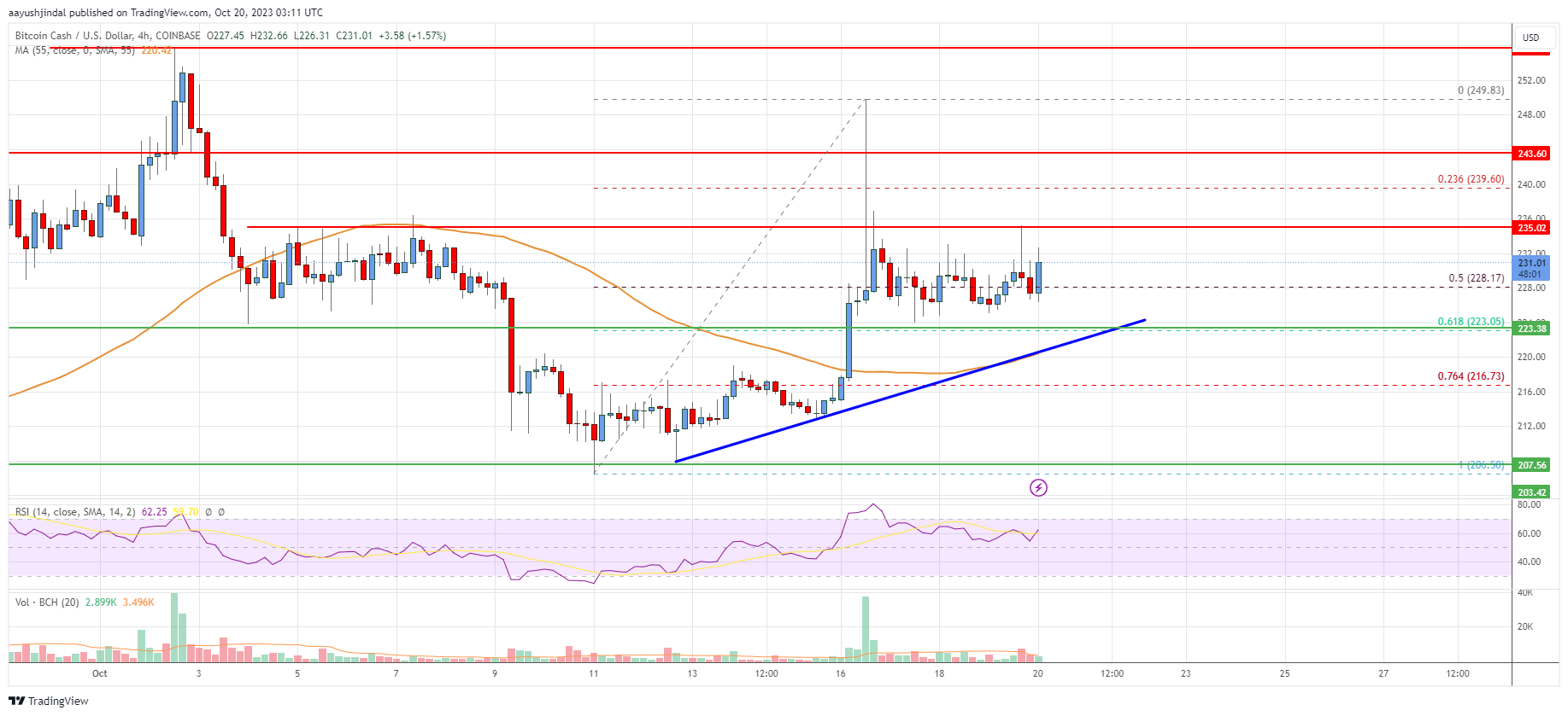 Bitcoin Cash Analysis: Indicators Suggest Fresh Increase To $250