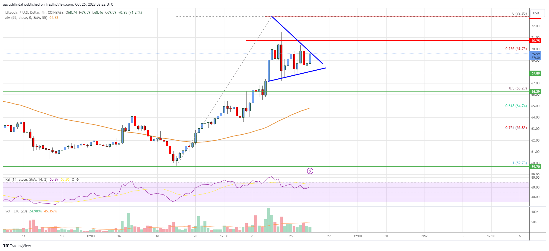 Litecoin (LTC) Price Analysis: Bulls Aim For Rally To $80