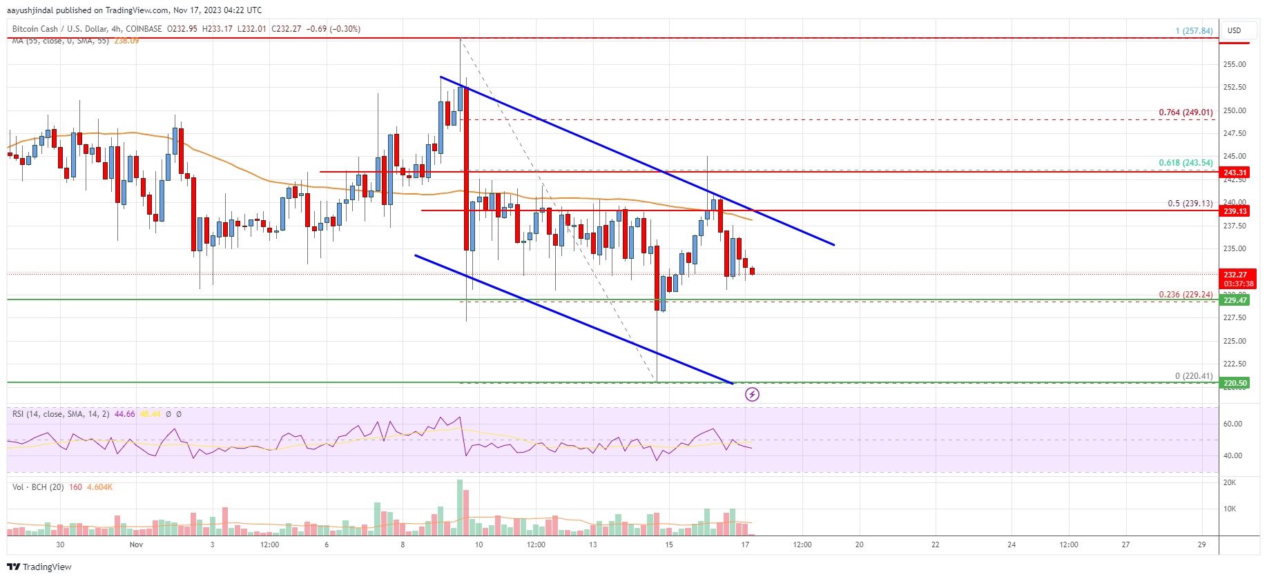 Bitcoin Cash Analysis: Bulls Struggle To Clear Key Hurdle