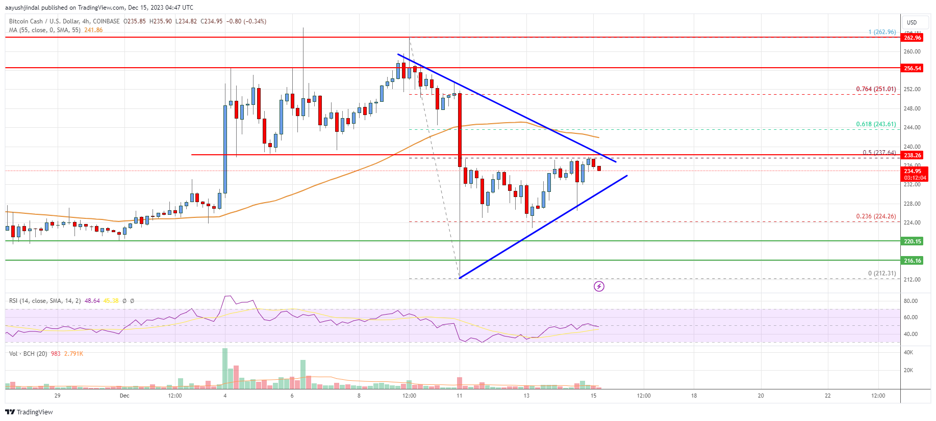 Bitcoin Cash Analysis: Bulls Aim Fresh Rally To $255