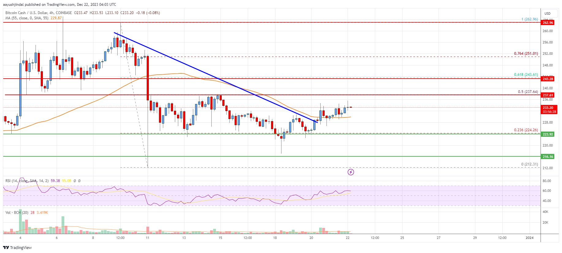 Bitcoin Cash Analysis: Fresh Rally Likely If Bulls Clear This Hurdle