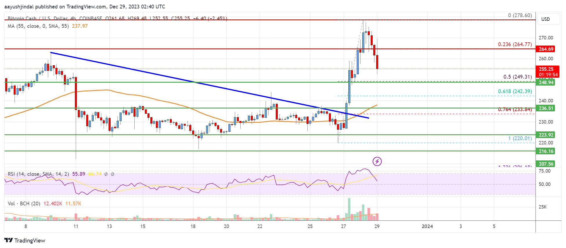 Bitcoin Cash Analysis: Dips Could Be Limited Below $235