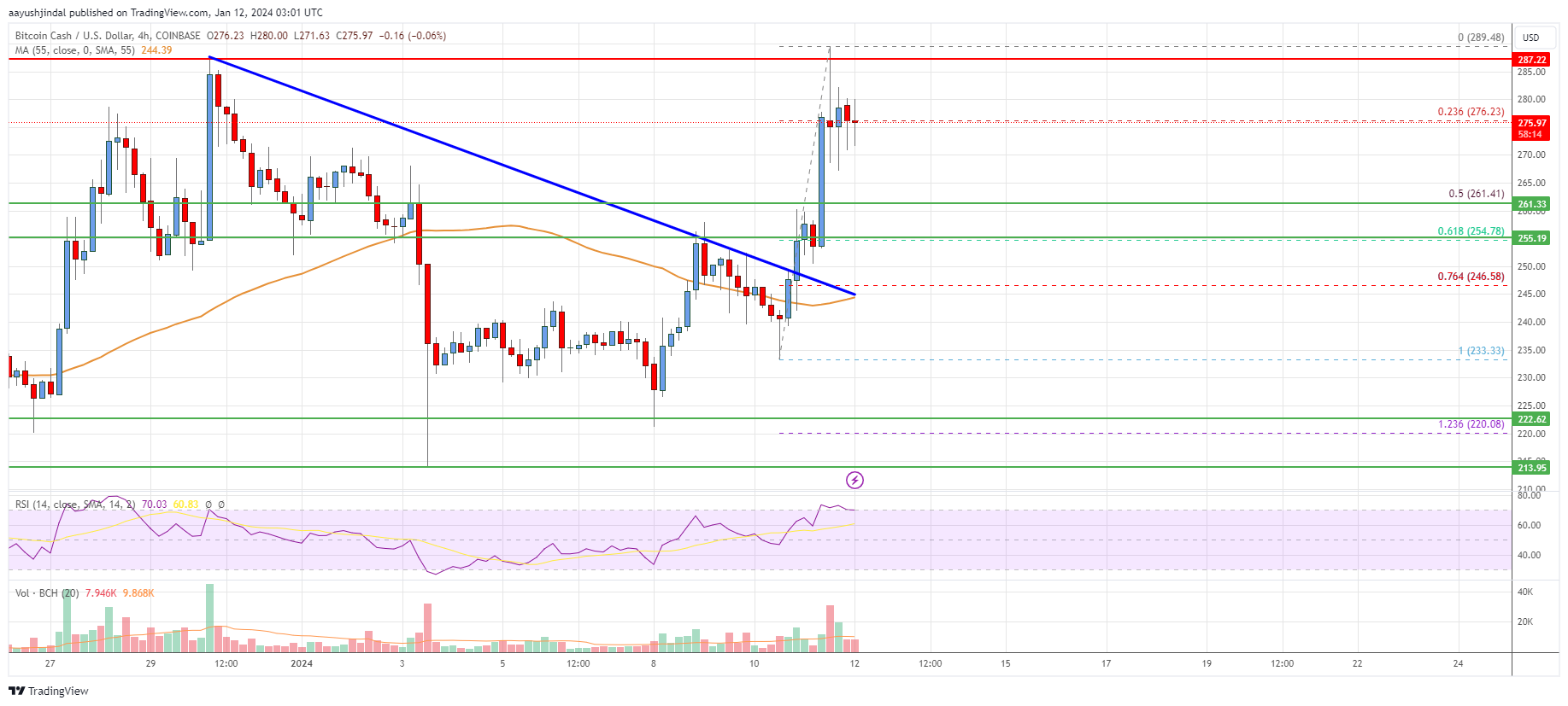 Bitcoin Cash Analysis: Bulls Aim For $300 or Higher