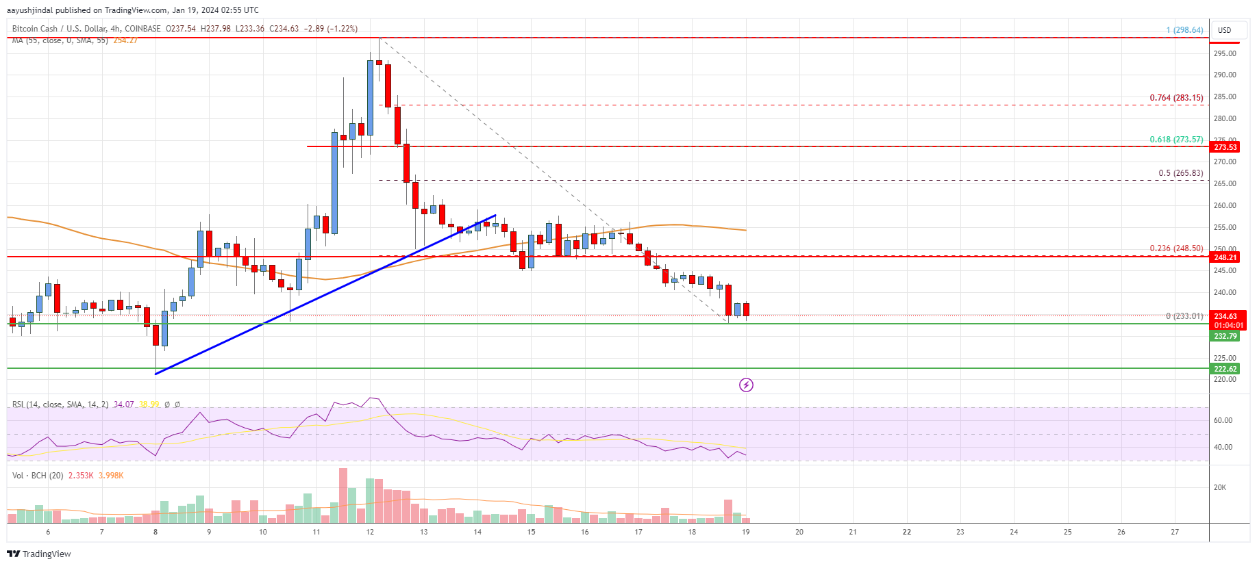 Bitcoin Cash Analysis: Risk of More Losses Below $230