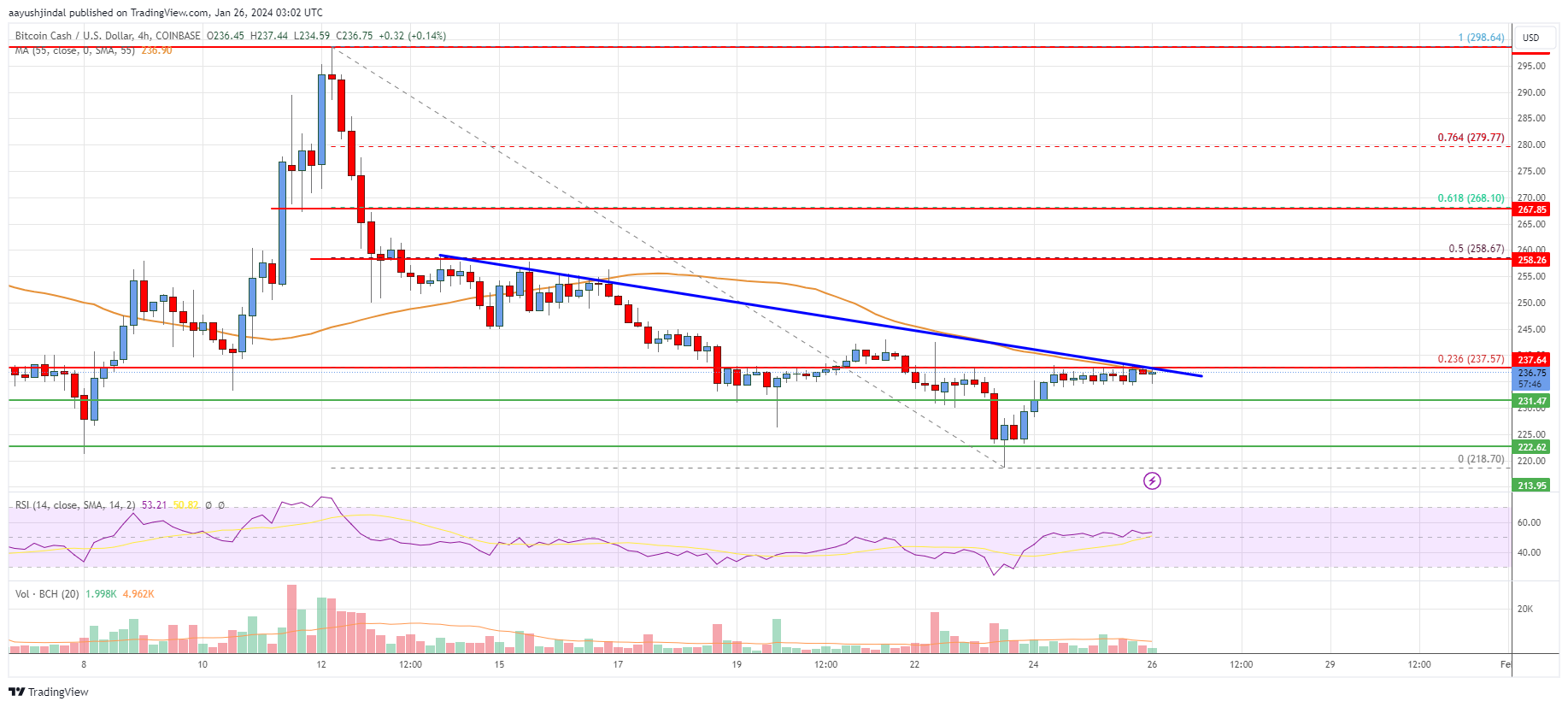 Bitcoin Cash Analysis: Bears Gain Strength Below $250