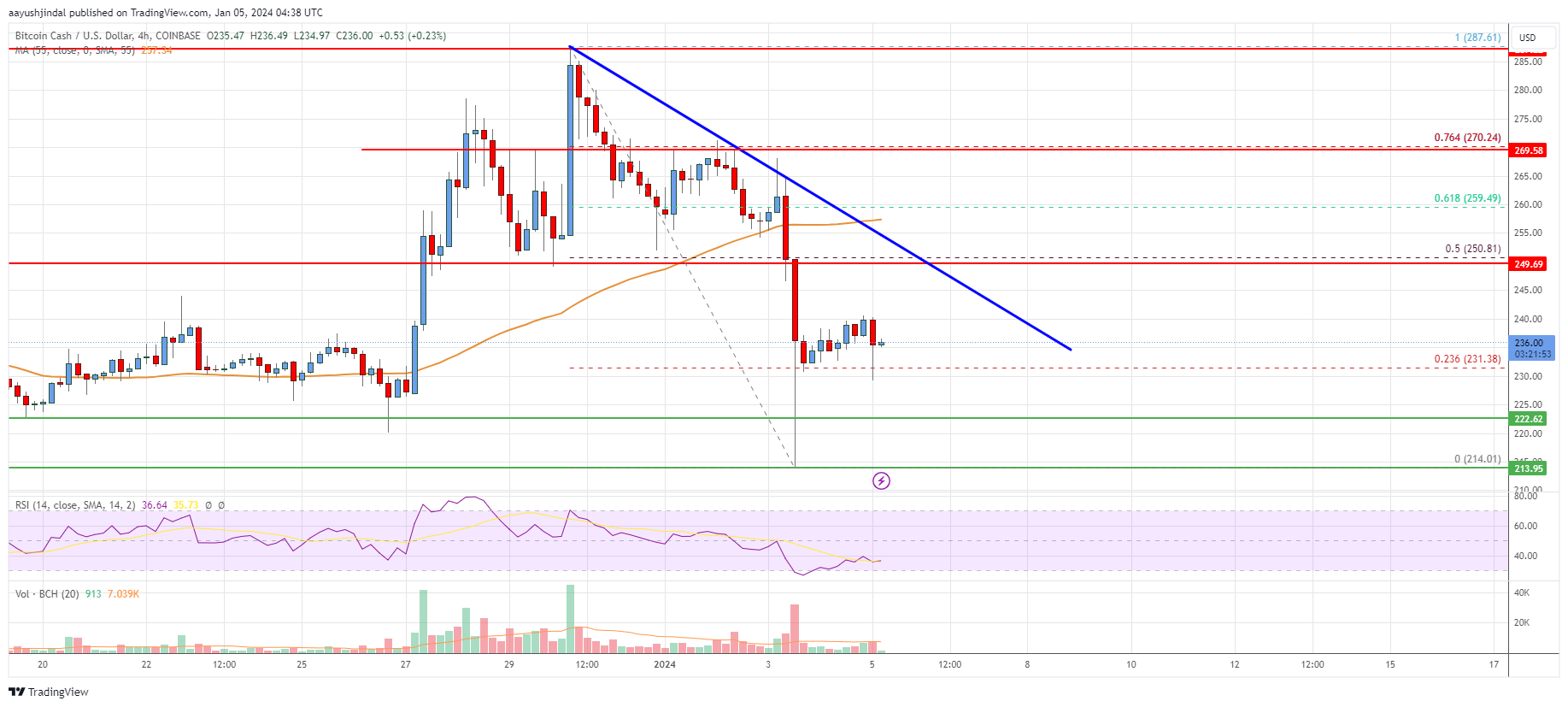 Bitcoin Cash Analysis: Risk of More Losses Below $215