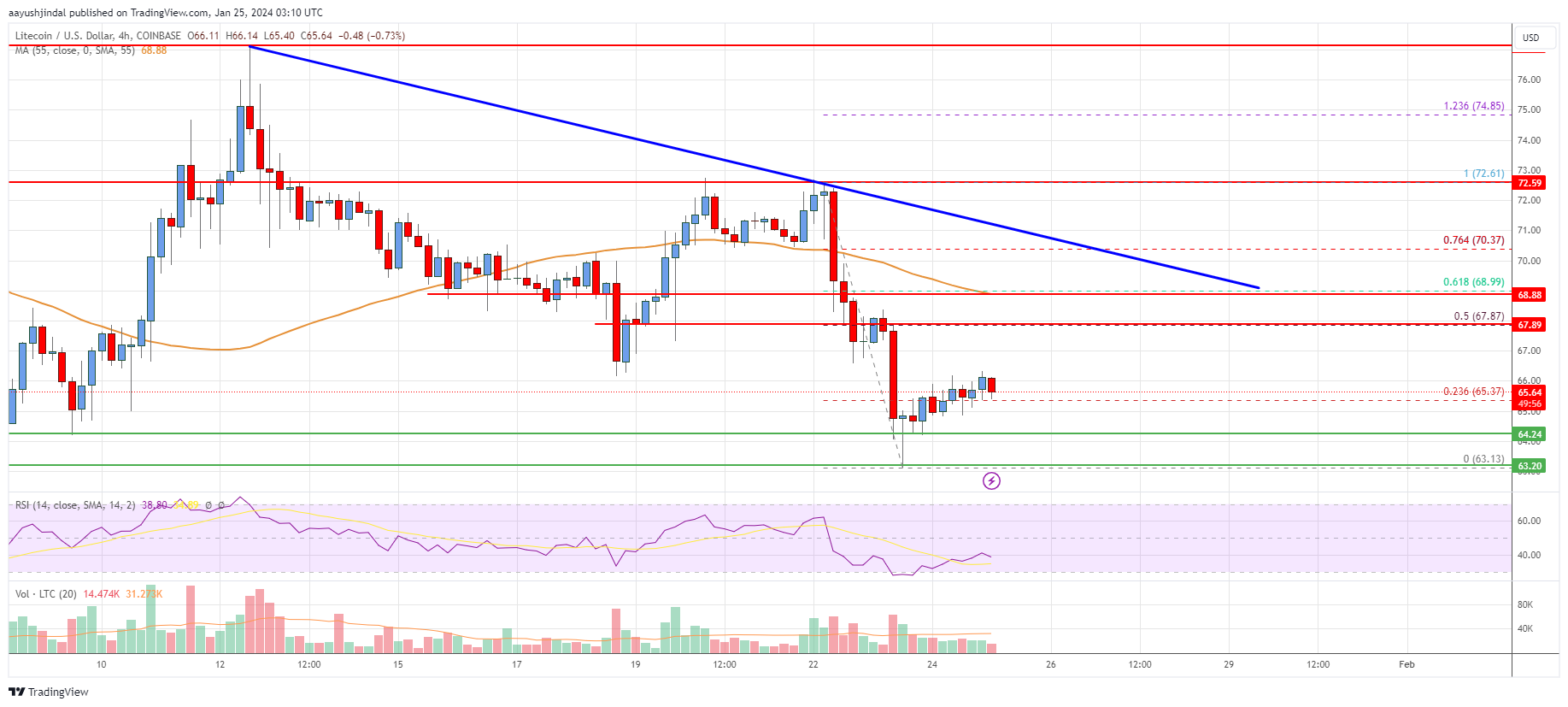 Litecoin (LTC) Price Analysis: Bears Aim For More Losses Below $60