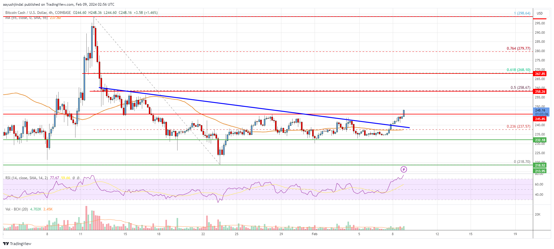 Bitcoin Cash Analysis: Fresh Rally Likely If Bulls Clear $250