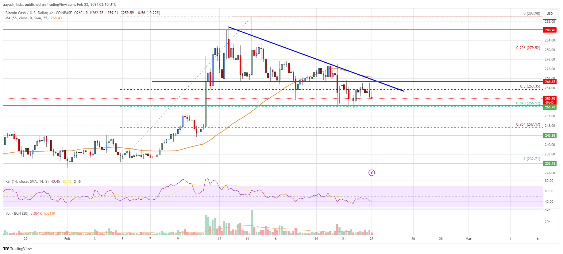 Bitcoin Cash Analysis: Bulls Struggle Near $255