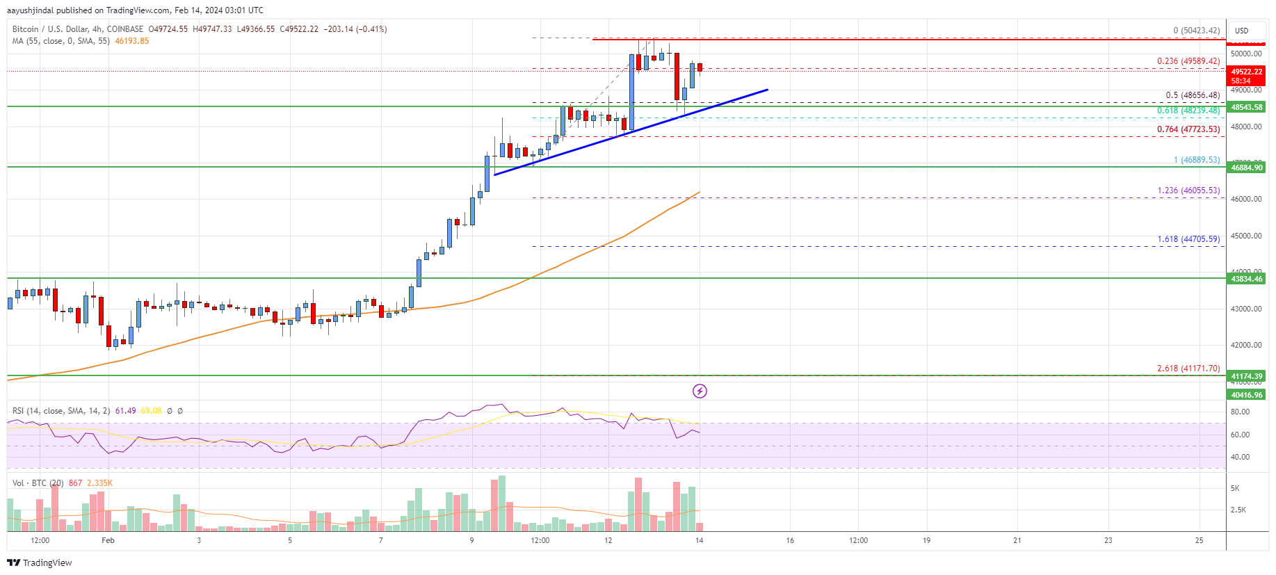 Bitcoin Price Analysis: BTC Maintains Uptrend At $50K